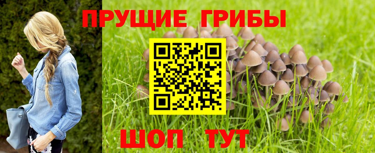 Галлюциногенные грибы GOLDEN TEACHER Гулькевичи