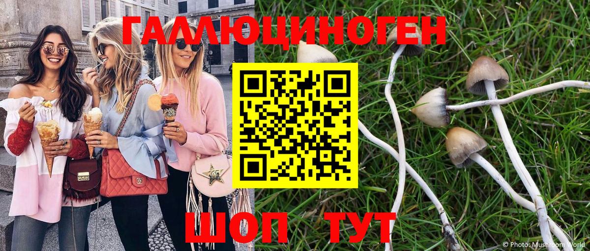 Гулькевичи  Псилоцибиновые грибы MAGIC MUSHROOMS  Вход с VPN 